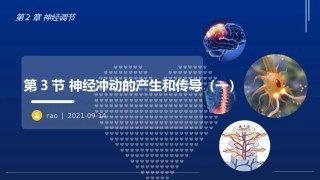 神经冲动的产生和传导一