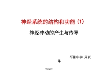 神经冲动的产生与传导