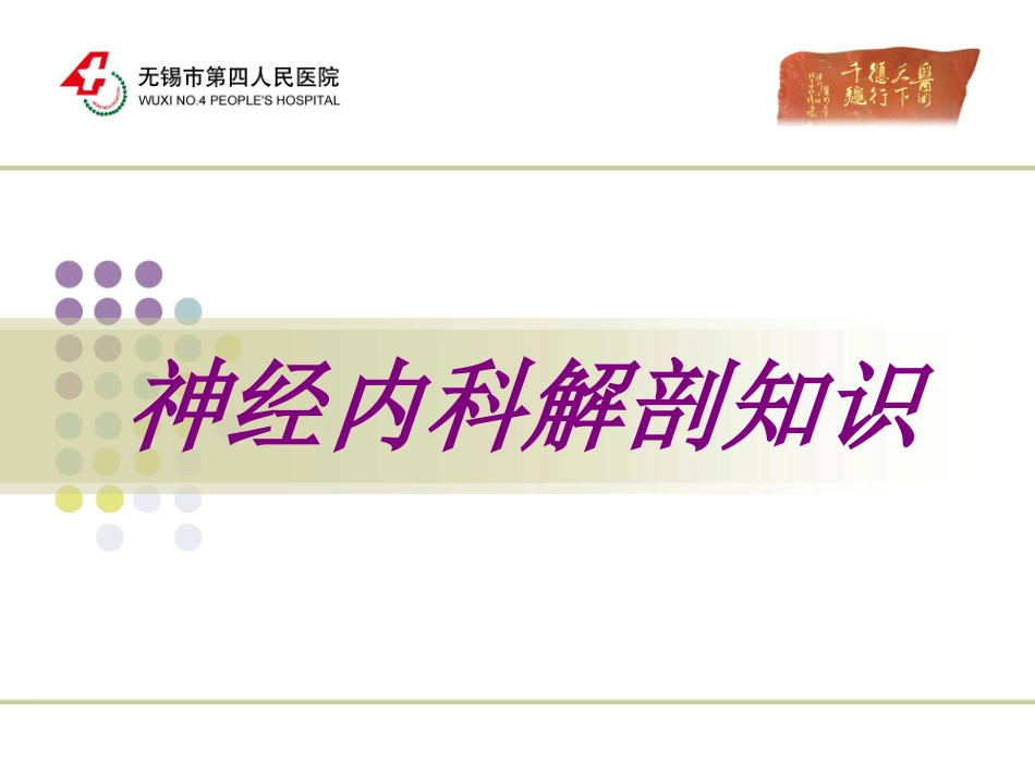 神经内科解剖知识培训课件_第1页