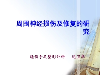 神经损伤修复分解