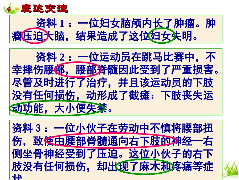 神经系统的组成_第3页