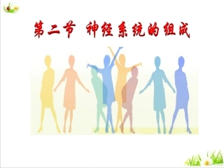 神经系统的组成