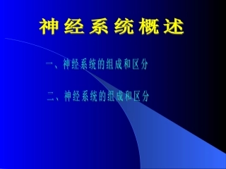 神经系统概述附件