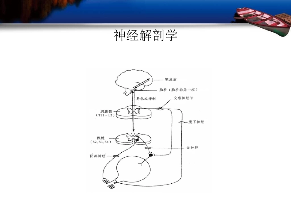 神经源性膀胱的健康教育讲解_第3页