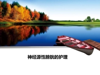 神经源性膀胱的健康教育讲解