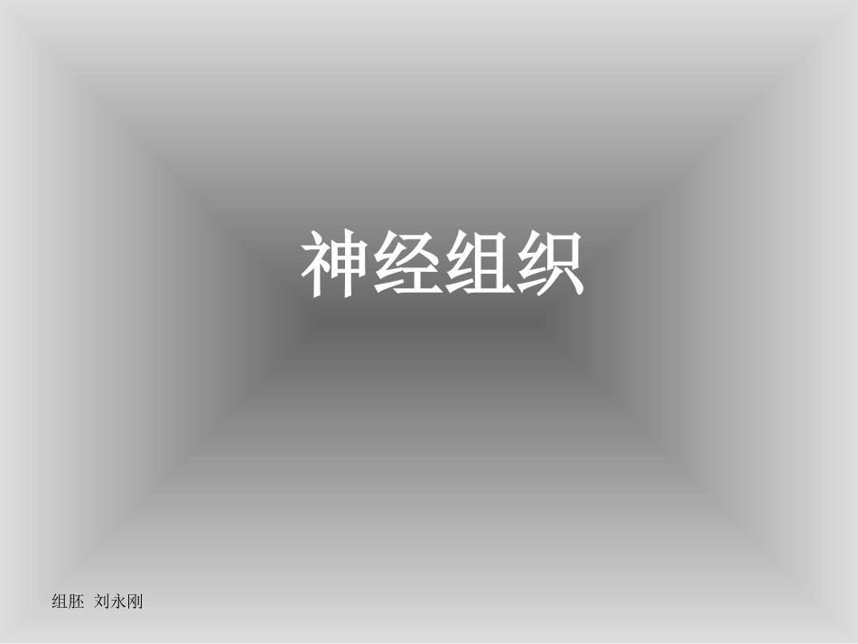 神经组织切片_第1页