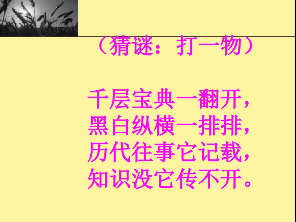 神奇的书课件_第1页