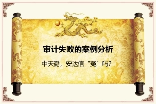 审计失败案例分析