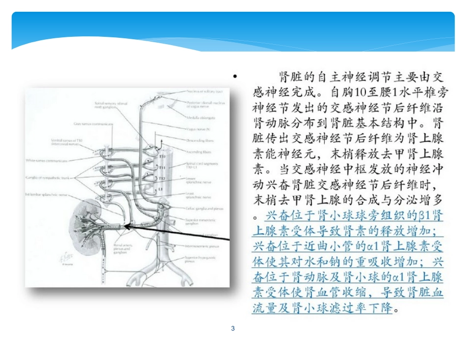 肾动脉交感消融术治疗原发性高血压课件_第3页