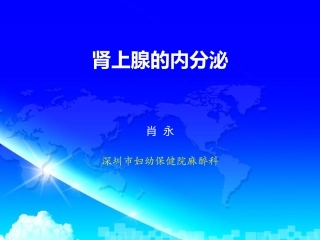 肾上腺的内分泌