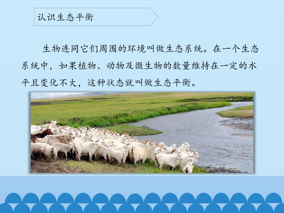 生态平衡课件_第3页