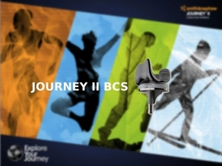 施乐辉膝关节假体JourneyII介绍