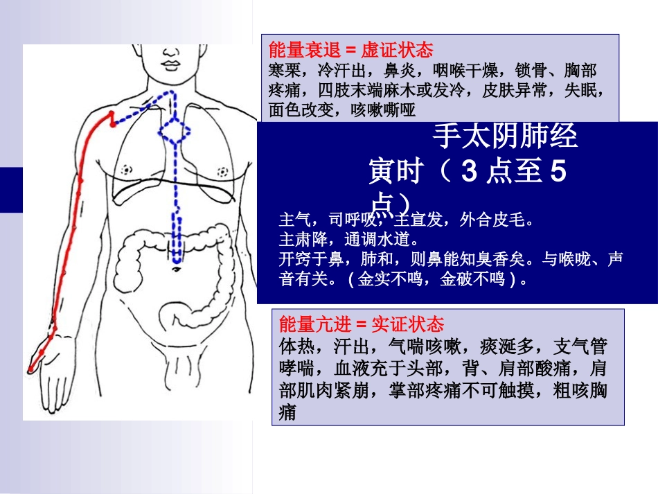 十二经络走向图课件_第1页