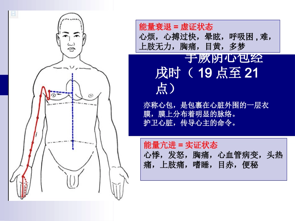 十二经络走向图课件_第2页
