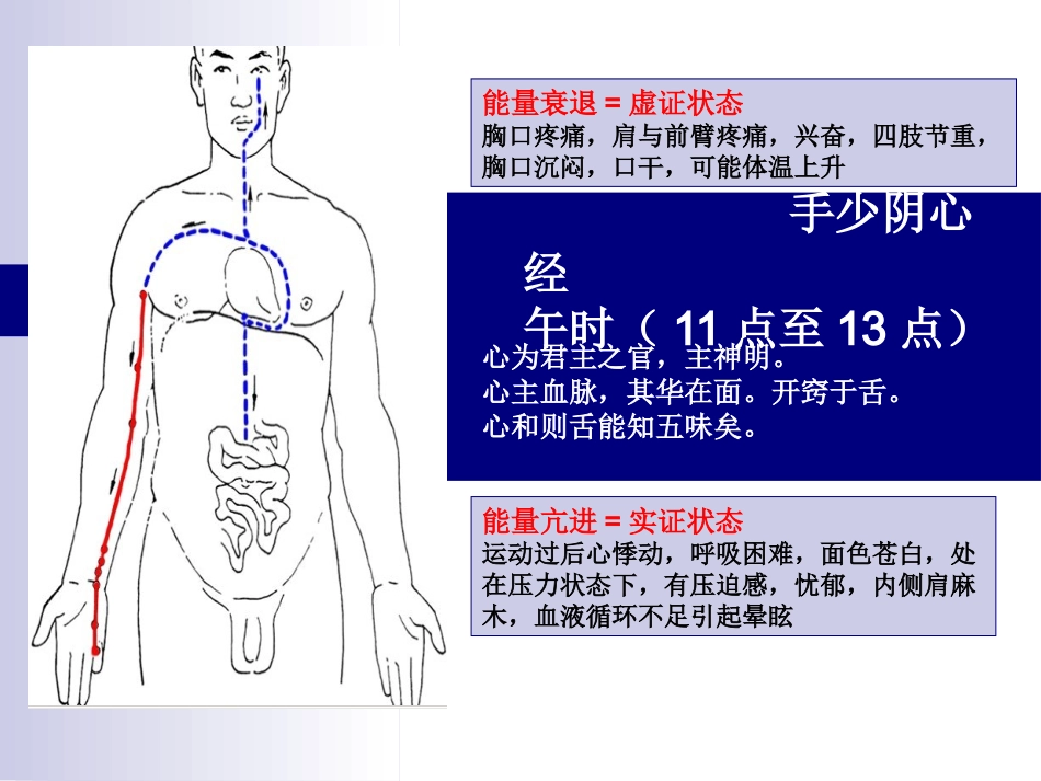 十二经络走向图课件_第3页