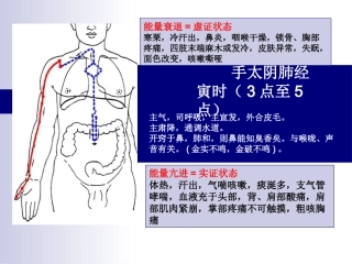 十二经络走向图课件