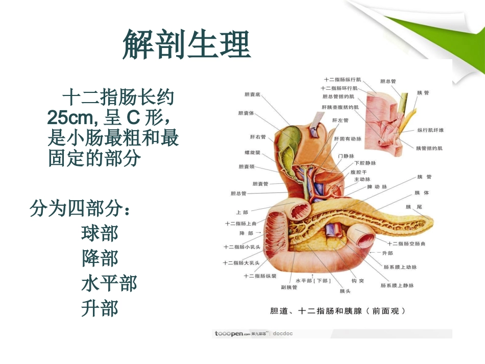 十二指肠溃疡_第3页