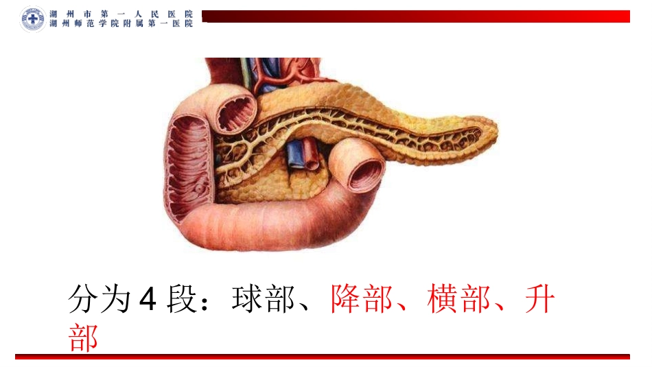 十二指肠损伤_第2页