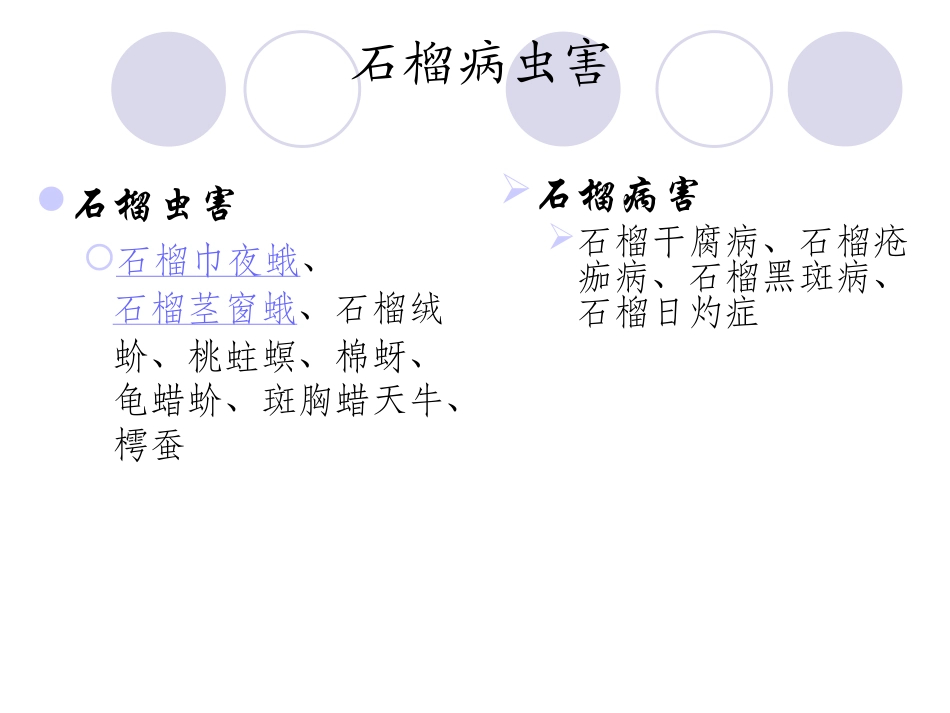 石榴常见病虫害一览表_第2页