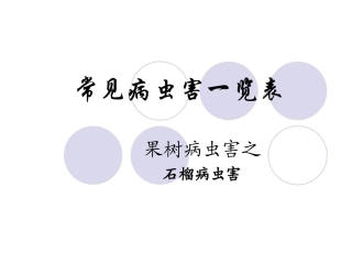 石榴常见病虫害一览表