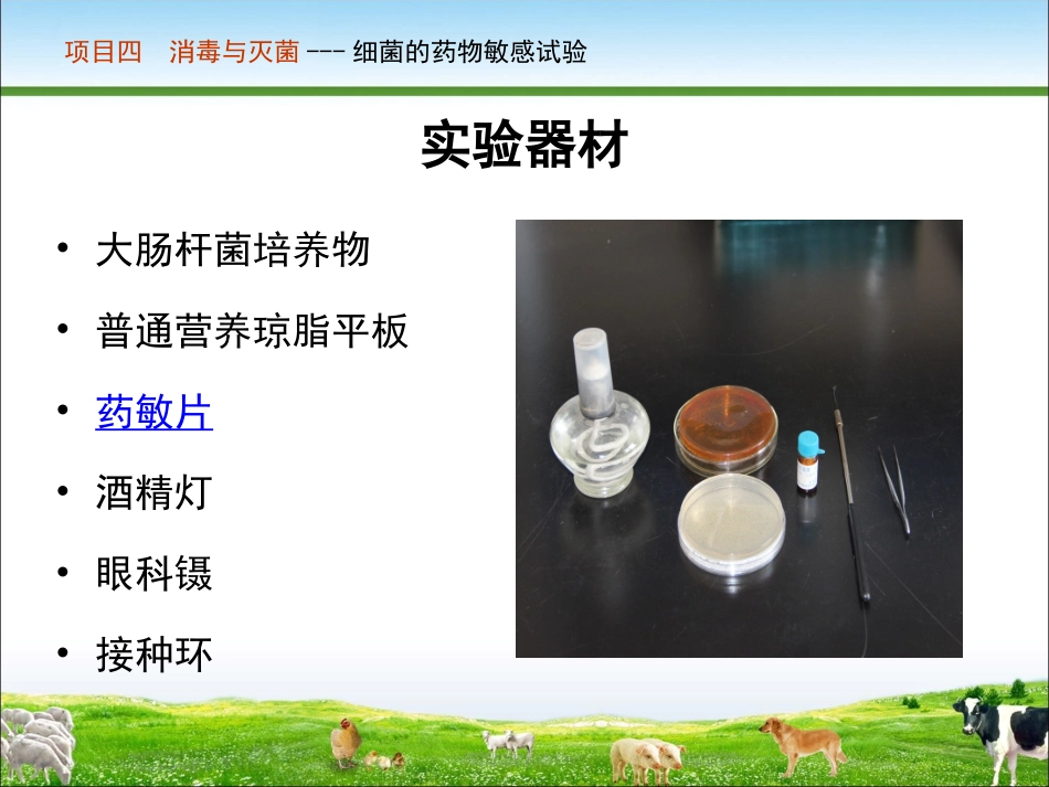 实训六细菌的药物敏感性试验_第3页