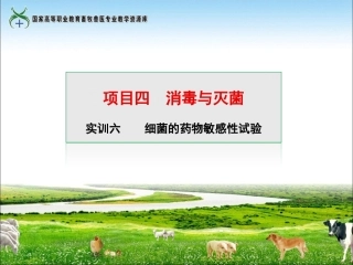 实训六细菌的药物敏感性试验