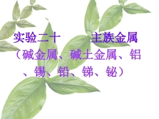 实验二十主族金属碱金属碱土金属铝锡铅锑铋