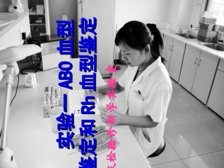 实验一ABO和Rh血型鉴定
