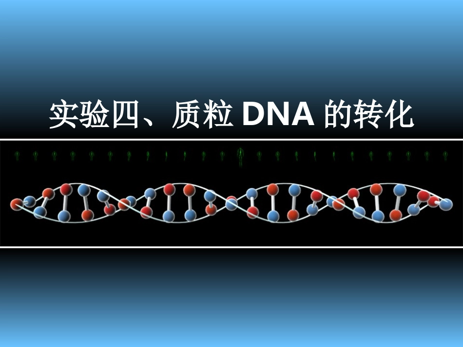 实验质粒DNA的转化_第1页