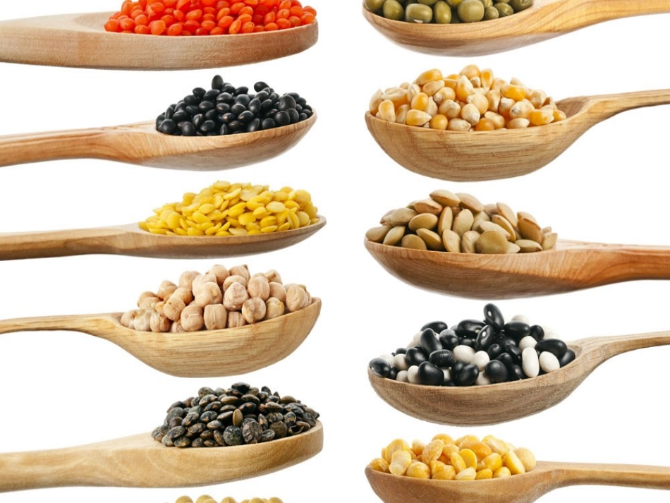 食品营养和安全知识课件_第2页