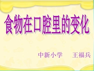 食物在口腔里的变化