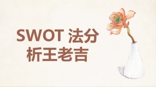 市场营销SWOT法分析