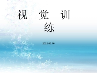 视觉训练工具与方法