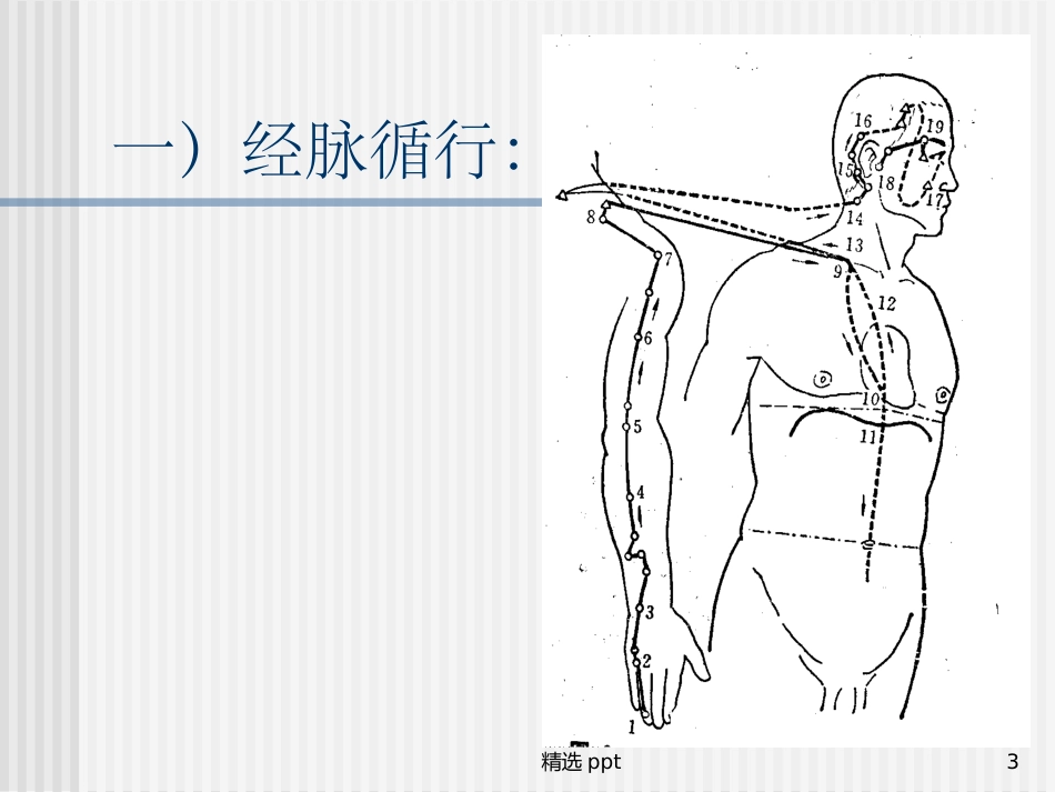 手少阳三焦经_第3页