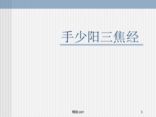手少阳三焦经