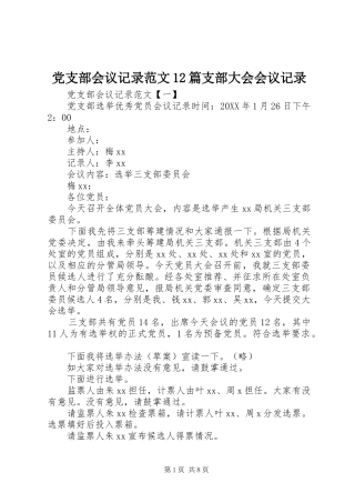 党支部会议记录范文篇支部大会会议记录