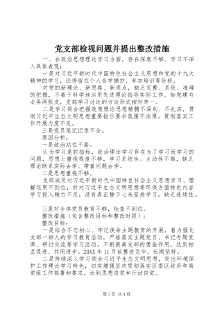 党支部检视问题并提出整改措施