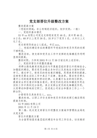 党支部晋位升级整改方案