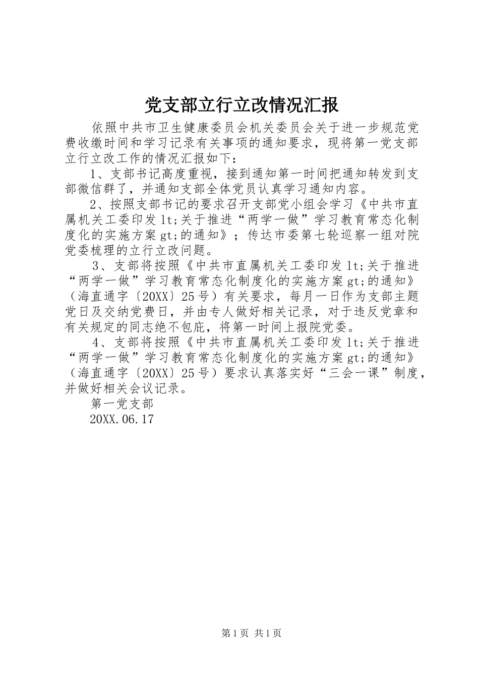 党支部立行立改情况汇报_第1页