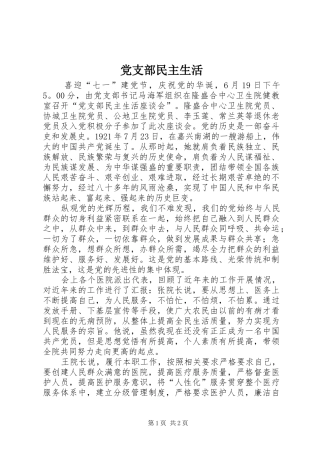 党支部民主生活