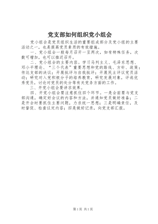 党支部如何组织党小组会