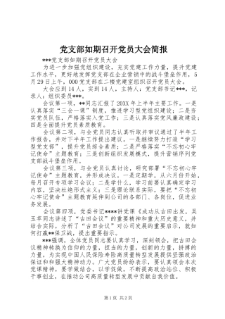 党支部如期召开党员大会简报