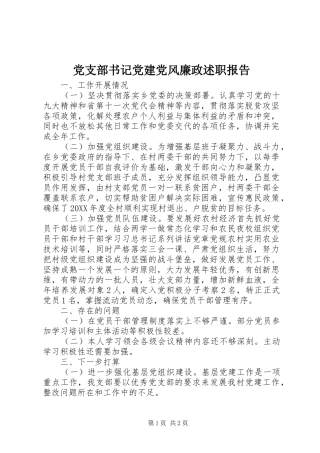 党支部书记党建党风廉政述职报告