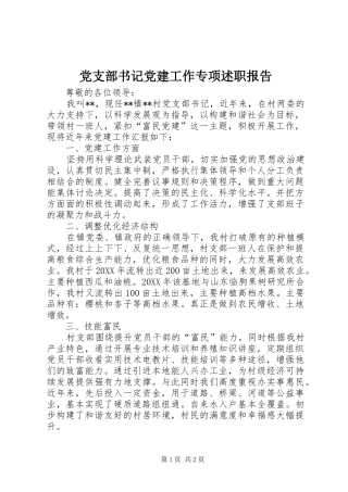 党支部书记党建工作专项述职报告