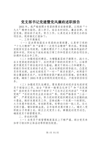 党支部书记党建暨党风廉政述职报告