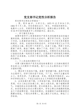 党支部书记党性分析报告