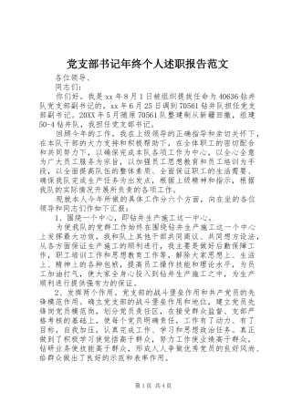 党支部书记年终个人述职报告范文