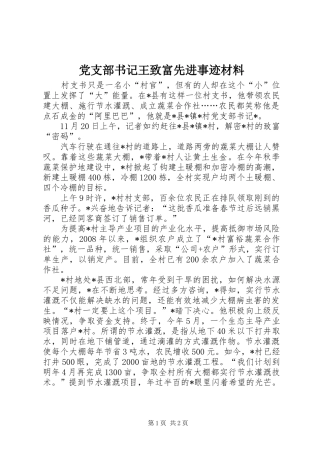 党支部书记王致富先进事迹材料