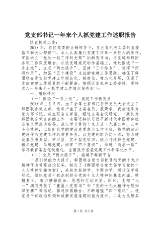 党支部书记一年来个人抓党建工作述职报告
