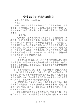 党支部书记助理述职报告